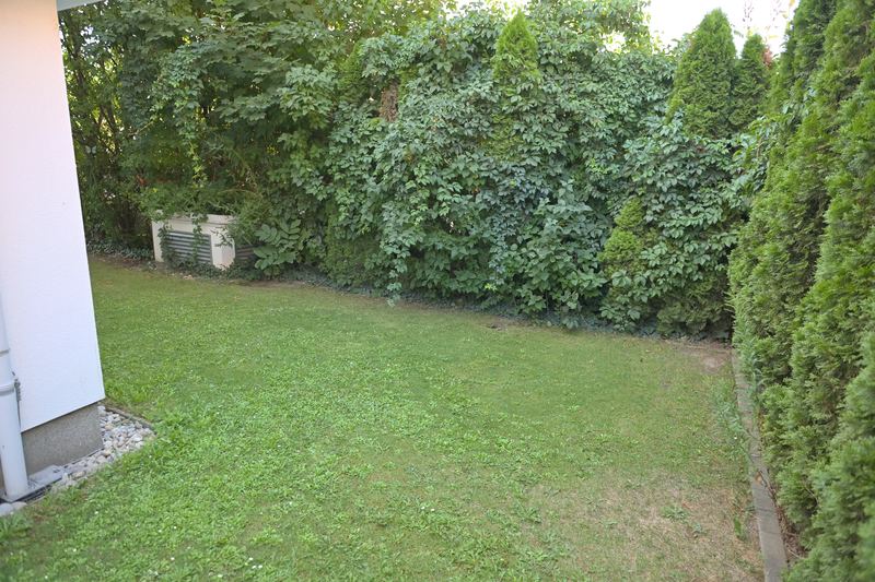 Rasenfläche mit hoher Hecke als Sichtschutz